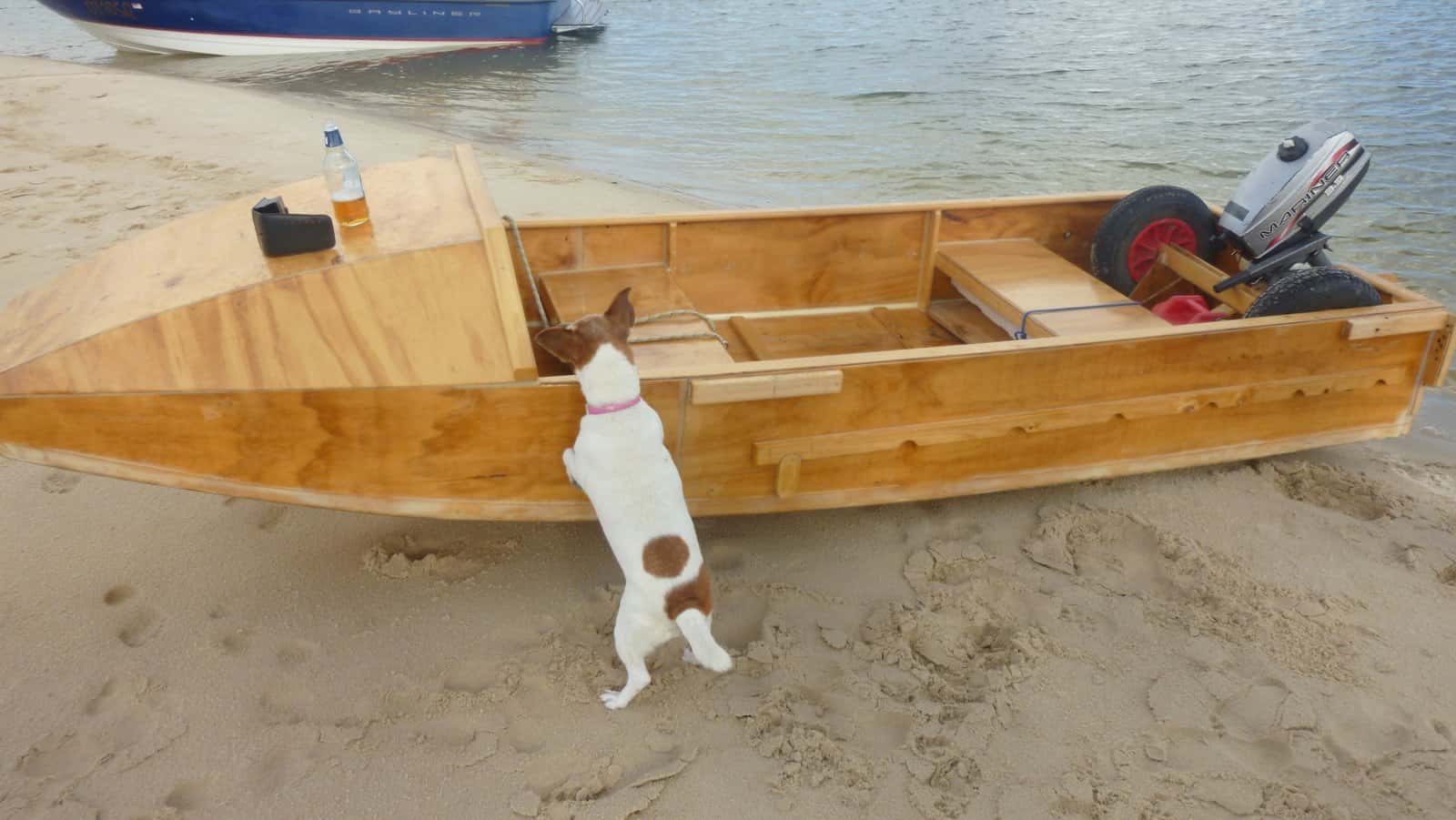 Noosa boat on the water